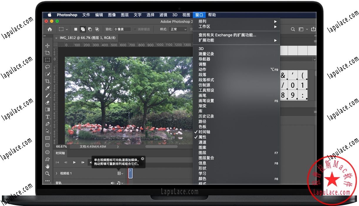 Adobe Photoshop 2020 for Mac PS软件 中文一键安装版下载