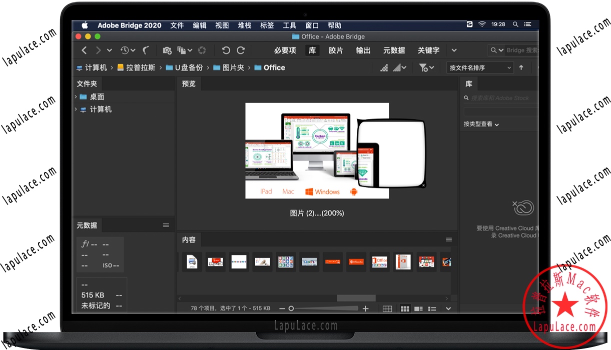 Bridge 2020 for Mac 数字资产管理软件 中文破解版下载