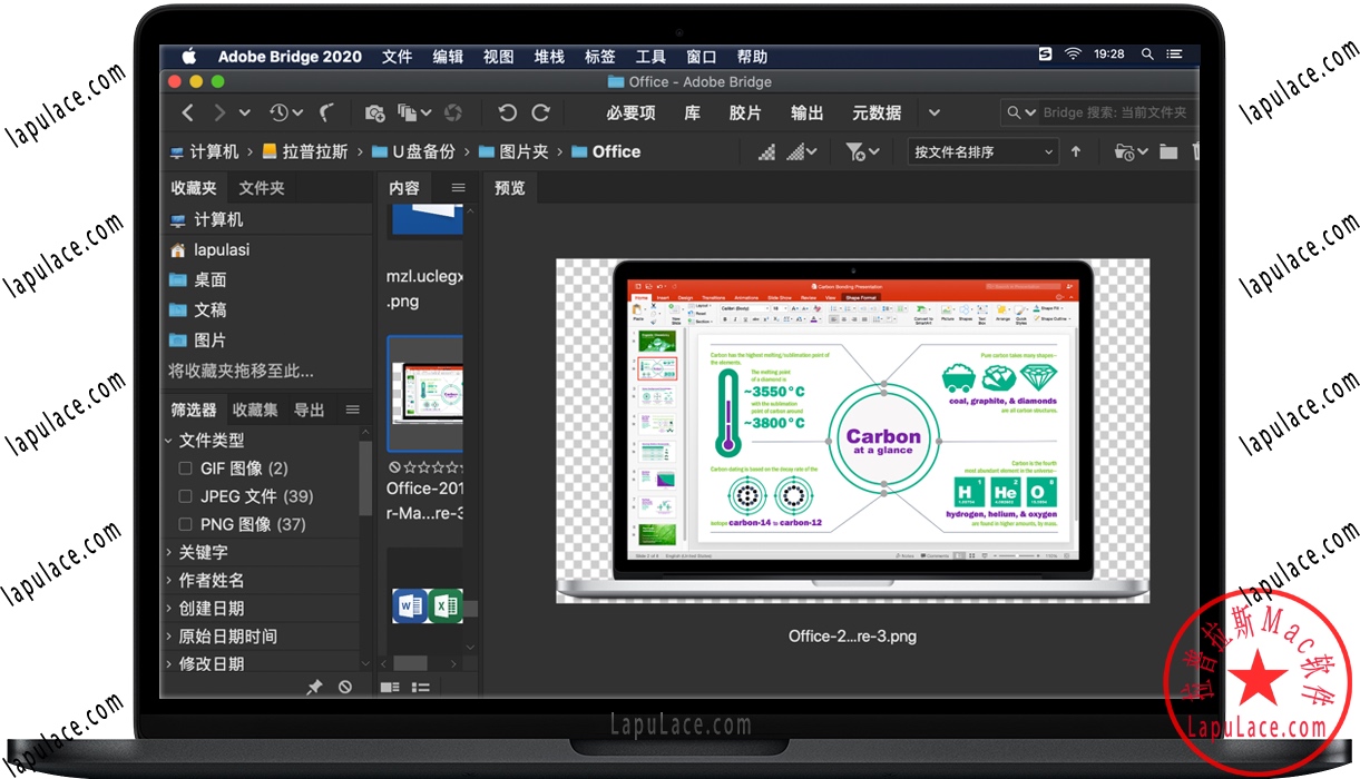 Bridge 2020 for Mac 数字资产管理软件 中文破解版下载