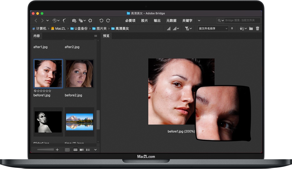 Bridge 2021 for Mac 数字资产管理软件 中文一键安装版下载