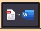 如何将PDF插入到Microsoft Word
