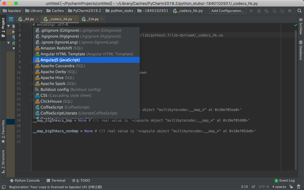 pycharm professional pycharm professional