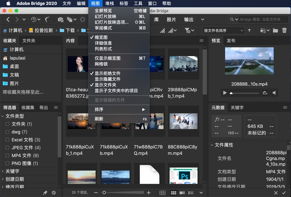 adobe bridge 2020 mac download adobe bridge 2020 mac download