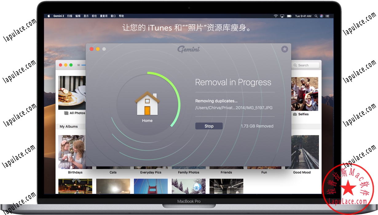Gemini 2 for Mac 苹果电脑重复文件查找器 中文破解版下载