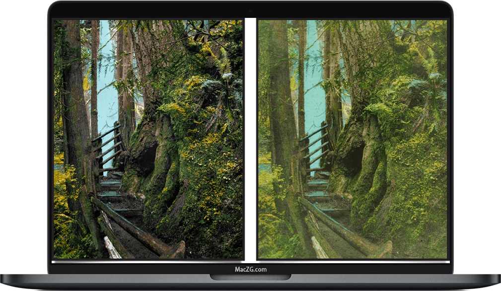 Hand Tint Pro for MacOS 手绘风格摄影特效 破解版下载