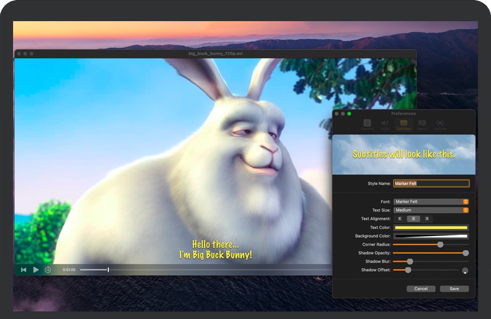 Playr for Mac 苹果电脑极简视频播放器 中文破解版免费下载